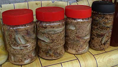 Fermented Fish Mysabah Com