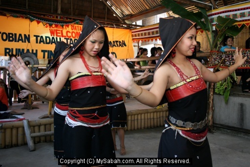 Sabah Harvest Festival - Kaamatan, Sabah, Malaysia/kaamatan-4mg_9256