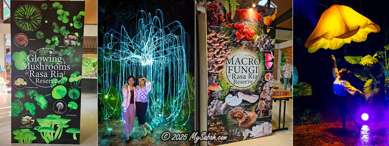 Glowing Mushroom Garden of Shangri-La Rasa Ria