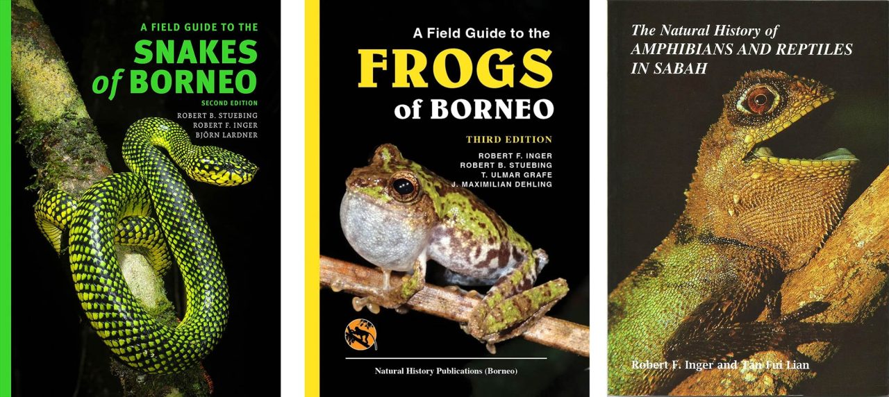 Guide books on reptiles and amphibians of Borneo