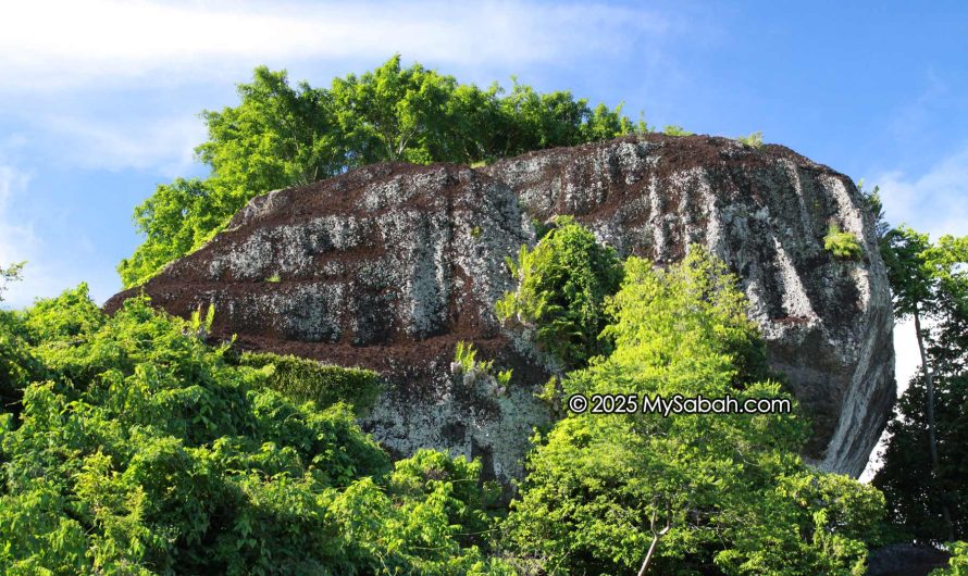 Treasure Hunt on Skull Hill (Bukit Tengkorak) of Sabah