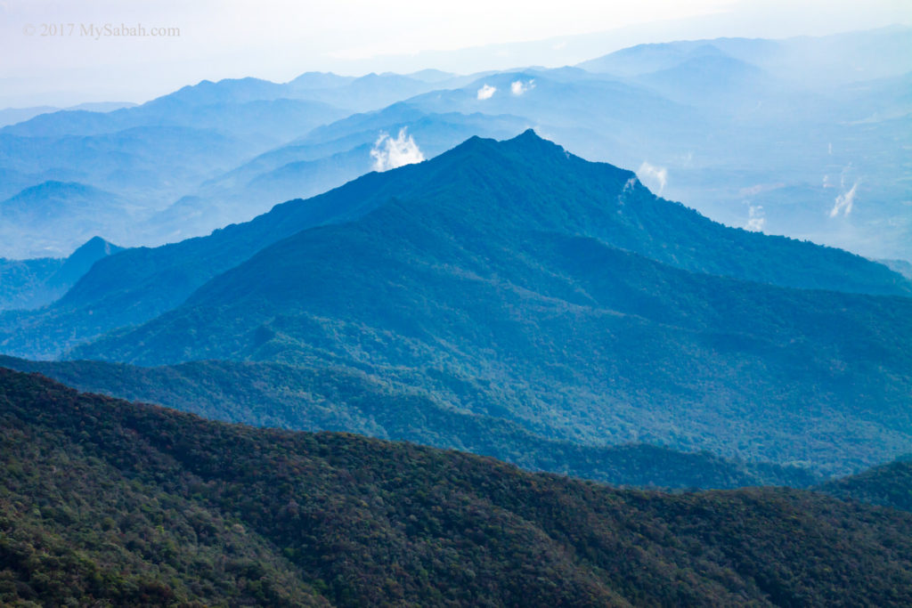 Climbing Mount Nambuyukong (1,603.57 Meters) - MySabah.com