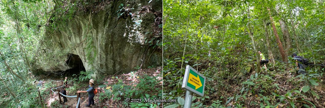 Cave and forest of Batu Punggul Forest Reserve