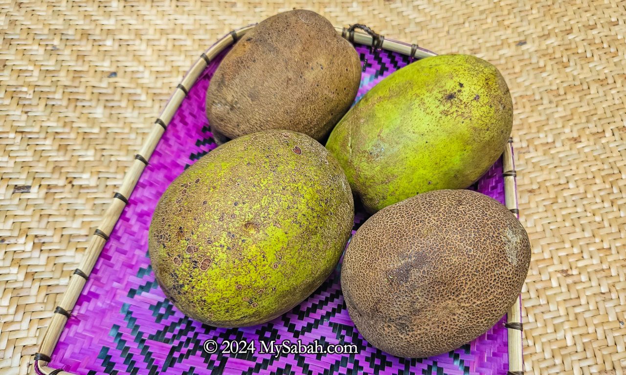 Beluno (Mangifera caesia) of Borneo