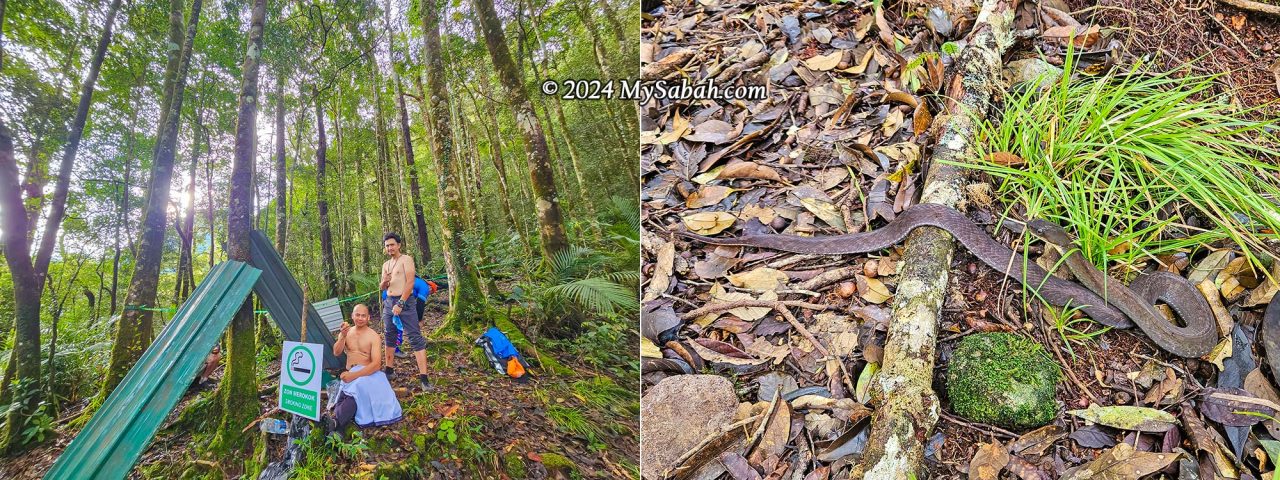 Left: The Smoking Zone after 4 km. Right: A rare sighting of the Baram Water Snake (Pseudoxenodon baramensis), an endemic species of Borneo.