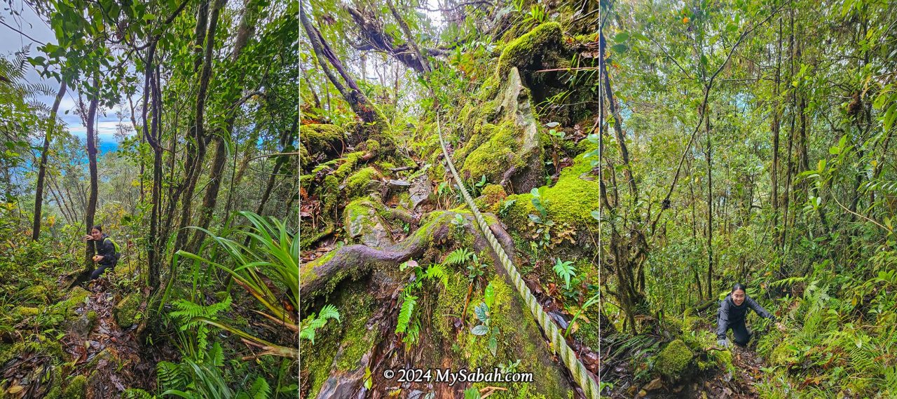 The trail for the last 2 km to the summit of Mount Minodtuhan.