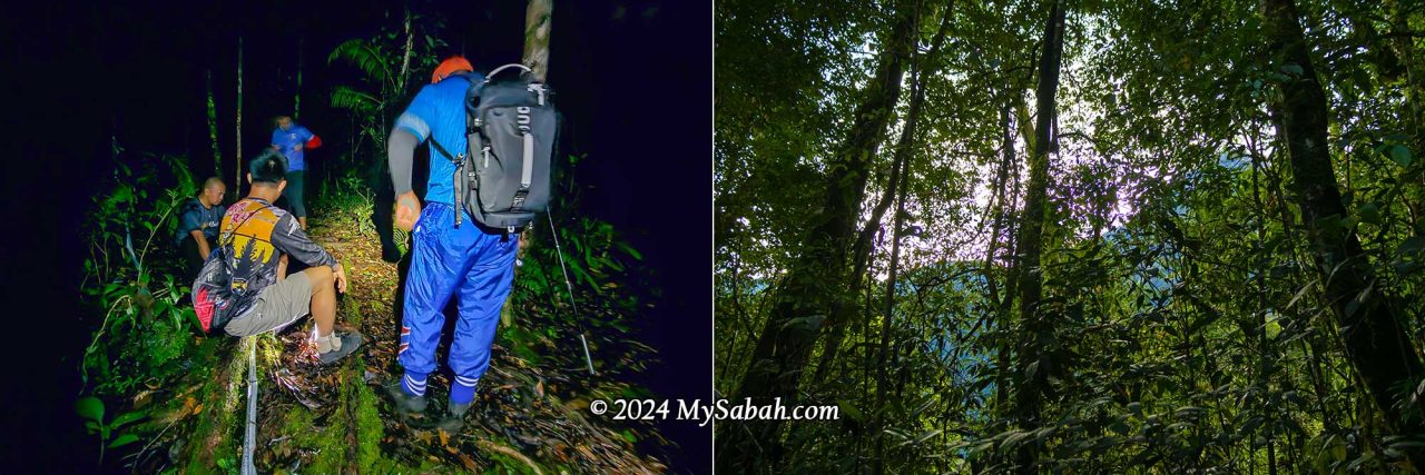 Left: taking our first break on the trail. Right: the outline of Mount Guwow behind the dense trees