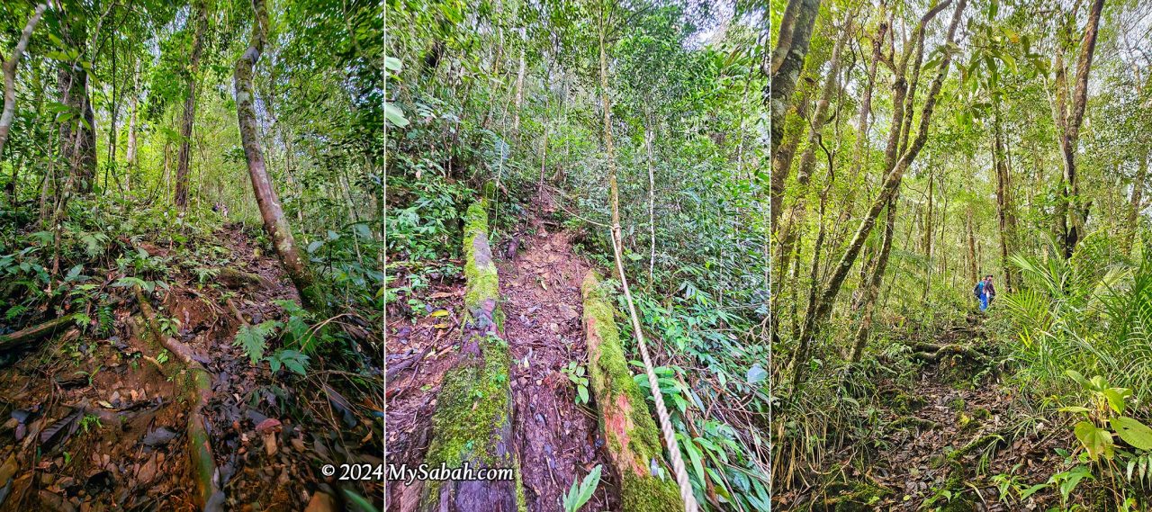 Most of the summit trail is steep after 2 Km. Less than 20% of the trail is flat.