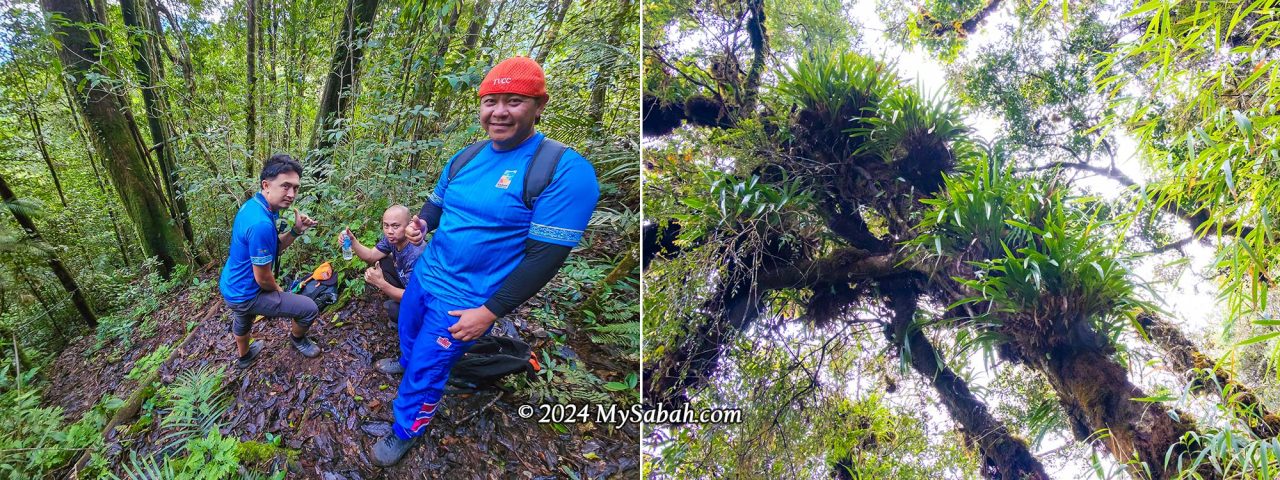 Left: rest after climbing some steep trails. Right: Epiphytes grow high on trees to access more sunlight and water, a characteristics of montane forest