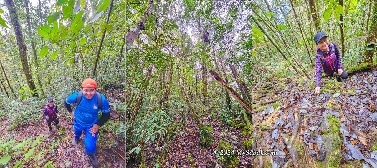 Steep trails of Mount Minodtuhan (Gunung Minodtuhan)